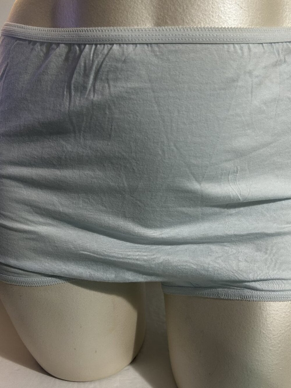 Catherines Brief Panties Underwear Cotton Blue Plus Size 10 or 2X